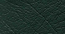 hntgreen